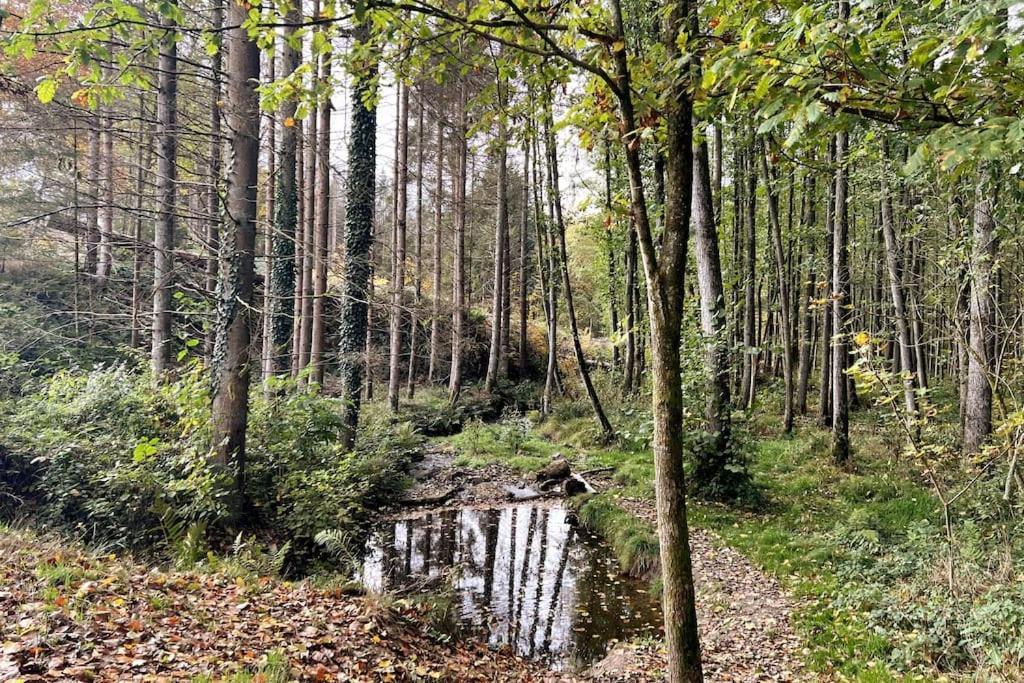 Forest Retreat- Serene 160M2 With Forest Views Wermelskirchen Exterior photo